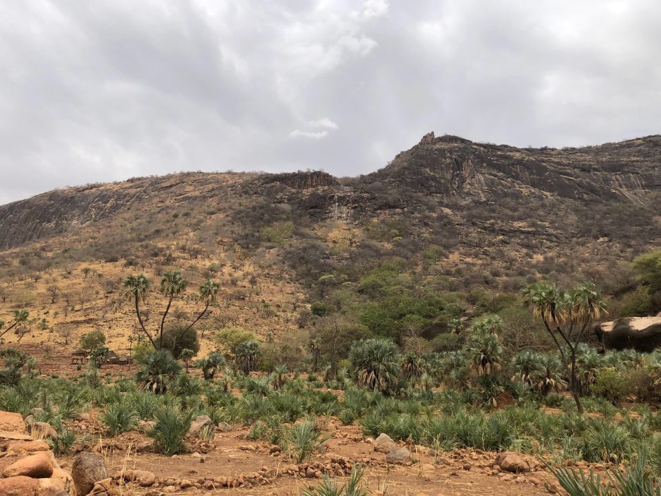 The Nuba Mountains