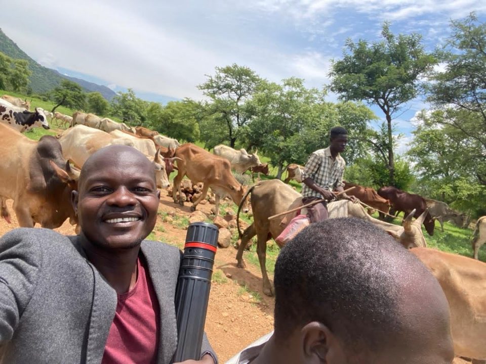 Sylvester carrying the blueprints for Grace Secondary School—and encountering cows.